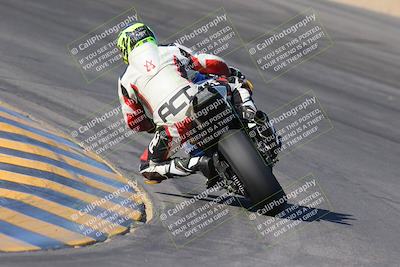 media/Nov-12-2023-SoCal Trackdays (Sun) [[5d1fba4e7d]]/Turn 10 Backside (115pm)/